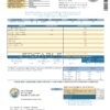 USA City of Titusville Florida utility bill template in Word and PDF format (2 pages)