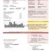 USA City of Utility Statement water utility bill template in Word and PDF format
