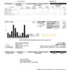 USA The City of Wichita Falls Utility bill template in Word and PDF format