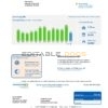 USA Michigan Consumers Energy utility bill template in Word and PDF format