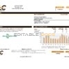 USA Pennsylvania Duquesne Light Company (DLC) utility bill template in Word and PDF format