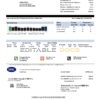 USA Ohio DP&L utility bill template in Word and PDF format