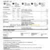 USA Discover credit card statement, Word and PDF template, 6 pages