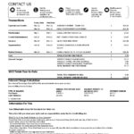USA Discover credit card statement, Word and PDF template, 6 pages