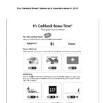 USA Discover credit card statement, Word and PDF template, 6 pages