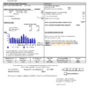 USA Pennsylvania Duquesne light utility bill template in Word and PDF format