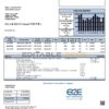USA Minnesota East Central Energy utility bill template in Word and PDF (.doc and .pdf) format