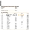 USA Eastern Michigan bank account statement Word and PDF template