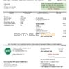 USA Ohio Farmer’s Electric Cooperative utility bill template in Word an PDF format