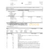 USA Fifth Third Bank statement easy to fill template in .xls and .pdf file format