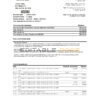 USA First Century Bank statement easy to fill template in Excel and PDF format