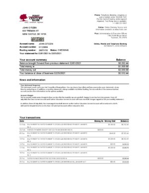 USA Editable Templates 2 USA First Century Bank statement easy to fill template in Excel and PDF format