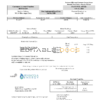 USA Florida Pensacola Energy utility bill template in Word and PDF format