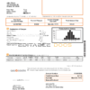 USA New York Gas South utility bill template in Word and PDF format