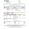 USA Georgia SunTrust bank statement template in Excel and PDF format