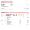 USA HSBC bank statement template in Word and PDF format