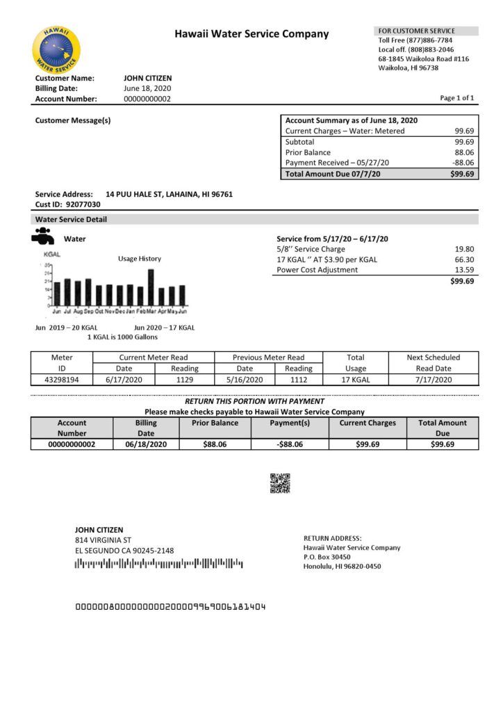 USA Hawaii Water Service Company utility bill template in Word and PDF (.doc and .pdf) format