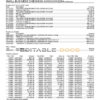 USA Howard bank statement Word and PDF template, 4 pages