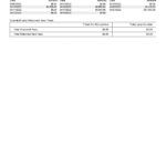 USA Howard bank statement Word and PDF template, 4 pages