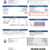 USA Illinois North Park Public Water District IL utility bill template in Word and PDF format