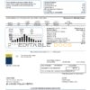 USA Las Vegas Valley Water District (LVVWD) utility bill template in Word and PDF format
