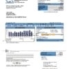 USA MEA Alaska electricity utility bill template in Word and PDF format