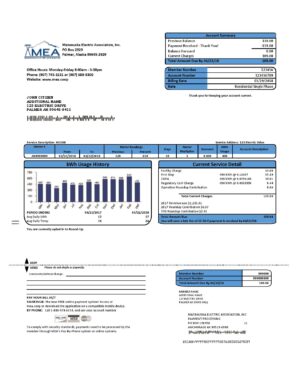 USA MEA Alaska electricity utility bill template in Word and PDF format