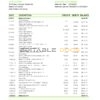 USA Massachusetts Radius Bank statement easy to fill template in Excel and PDF format