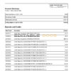 USA Metabank deposit account statement, Word and PDF template, 3 pages