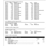 USA Mountain America Credit Union bank statement, Word and PDF template, 6 pages