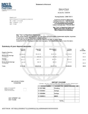 USA Editable Templates 8 USA Navy Federal bank statement, Word and PDF template, 9 pages 1