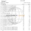 USA Navy Federal bank statement, Word and PDF template, 9 pages