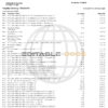 USA Navy Federal bank statement, Word and PDF template, 9 pages