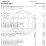 USA Navy Federal bank statement, Word and PDF template, 9 pages
