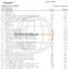 USA Navy Federal bank statement, Word and PDF template, 9 pages