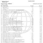 USA Navy Federal bank statement, Word and PDF template, 9 pages