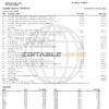 USA Navy Federal bank statement, Word and PDF template, 9 pages