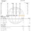USA Navy Federal bank statement, Word and PDF template, 9 pages