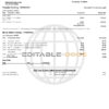 USA Navy Federal bank statement, Word and PDF template, 9 pages
