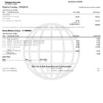 USA Navy Federal bank statement, Word and PDF template, 9 pages