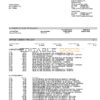 USA Nevada State Bank anytime checking statement, Word and PDF template, 4 pages