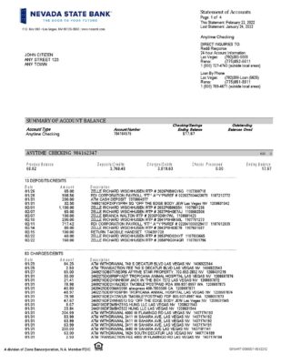 USA Nevada State Bank anytime checking statement, Word and PDF template, 4 pages