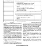 USA Nevada State Bank anytime checking statement, Word and PDF template, 4 pages