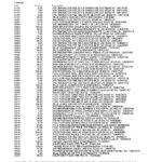 USA Nevada State Bank anytime checking statement, Word and PDF template, 4 pages