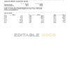 USA Nevada State Bank anytime checking statement, Word and PDF template, 4 pages