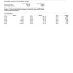 USA Nevada State Bank anytime checking statement, Word and PDF template, 4 pages
