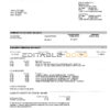 USA Nevada State Bank business checking statement, Word and PDF template, 4 pages