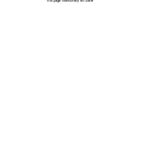 USA Nevada State Bank business checking statement, Word and PDF template, 4 pages