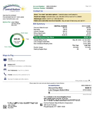 USA Editable Templates 9 USA New York Central Hudson A fortis company utility bill, Word and PDF template, 3 pages