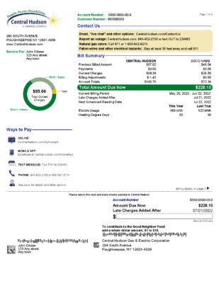 USA New York Central Hudson A fortis company utility bill, Word and PDF template, 3 pages